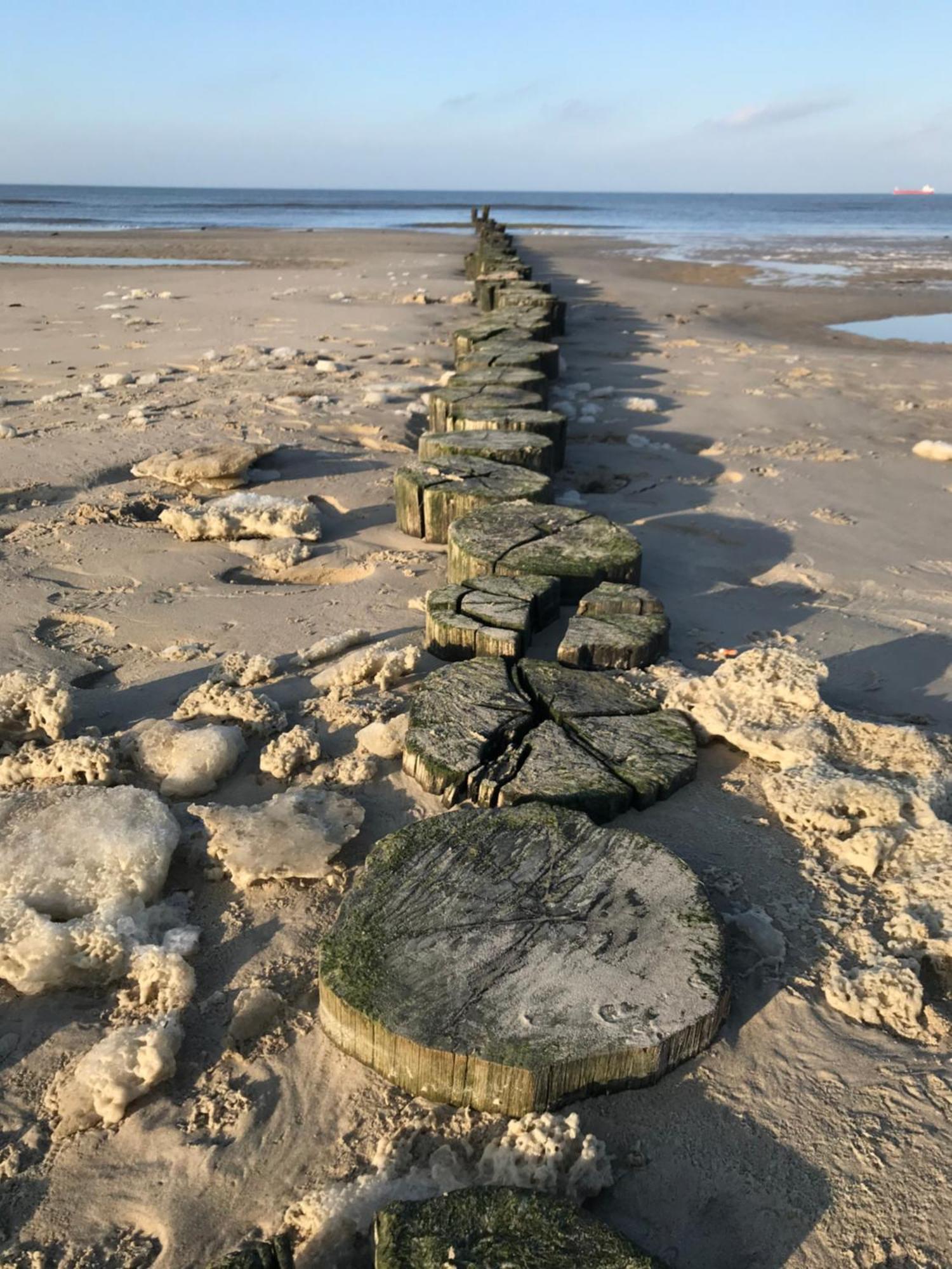 Eschen'S Allee Aurich Kültér fotó