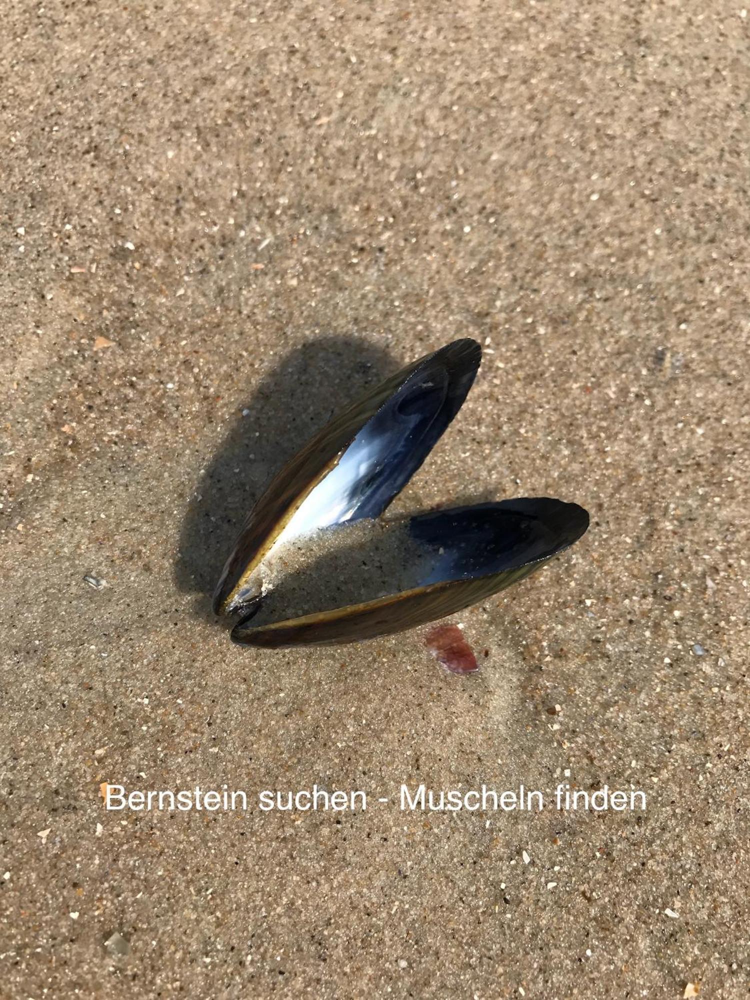 Eschen'S Allee Aurich Kültér fotó